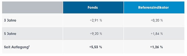 Annualisierte Wertentwicklung