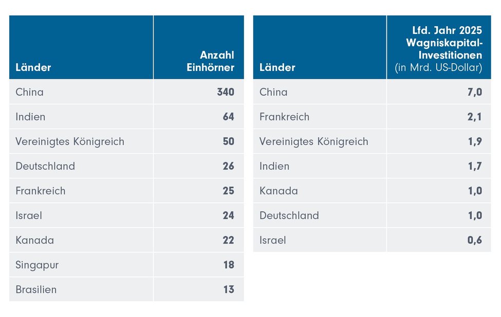 einhorn-finanzierung